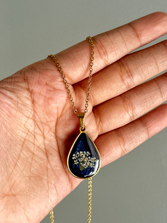 Queen Anne’s Lace